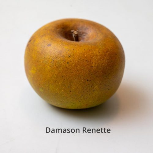 Damason_renette_egon.cx