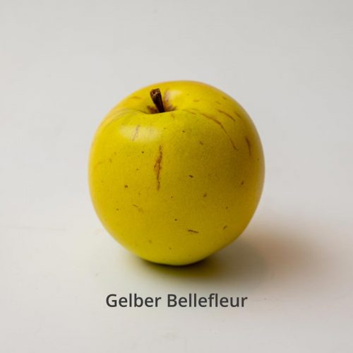 Gelber_Bellefleur_egon.cx