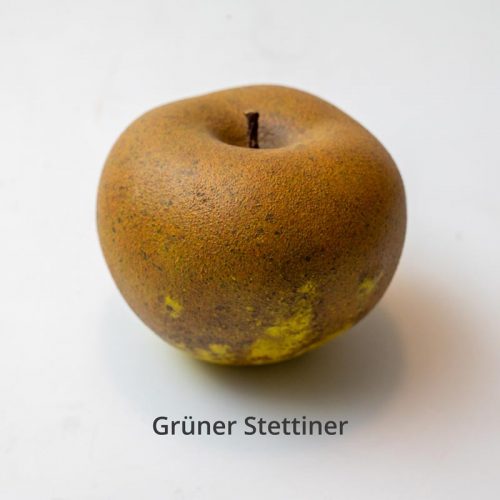 Gruener_Stettiner_egon.cx