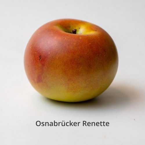 Osnabruecker_renette_egon.cx