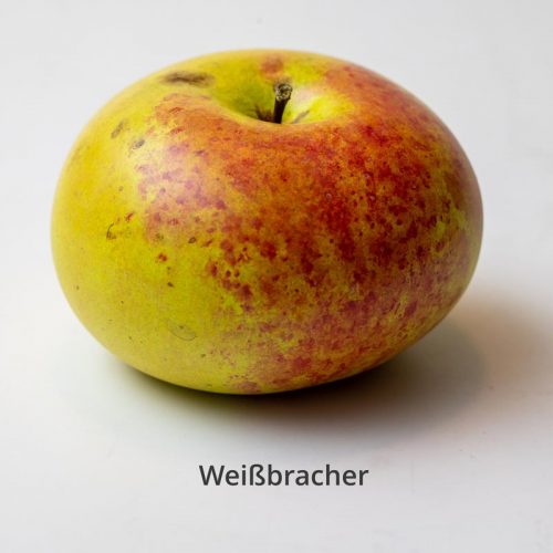 Weißbracher_egon.cx