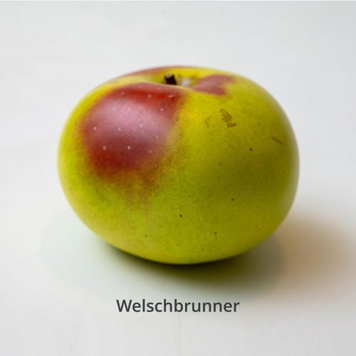 Welschbrunner_egon.cx